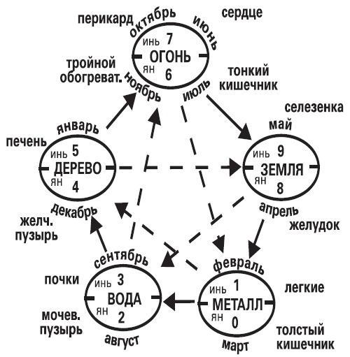 Жемчужины азиатской медицины