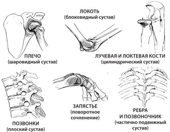 Чудо-вода