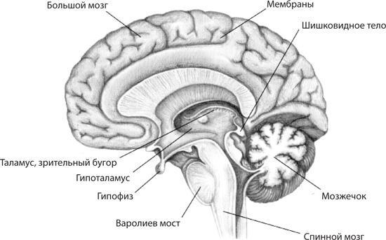 Чудо-вода