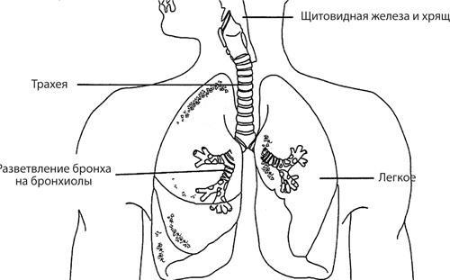 Чудо-вода