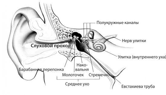 Чудо-вода