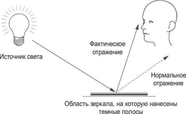 Вселенная внутри вас