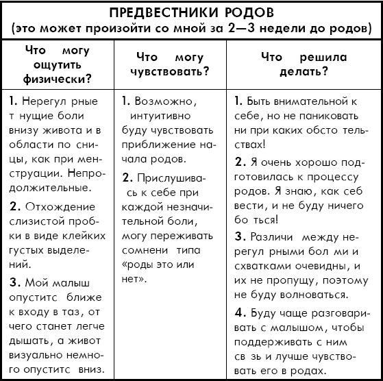 Как легко родить, или Путеводитель по родам