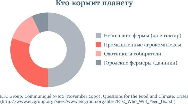 Еда без границ: Правила вкусных путешествий