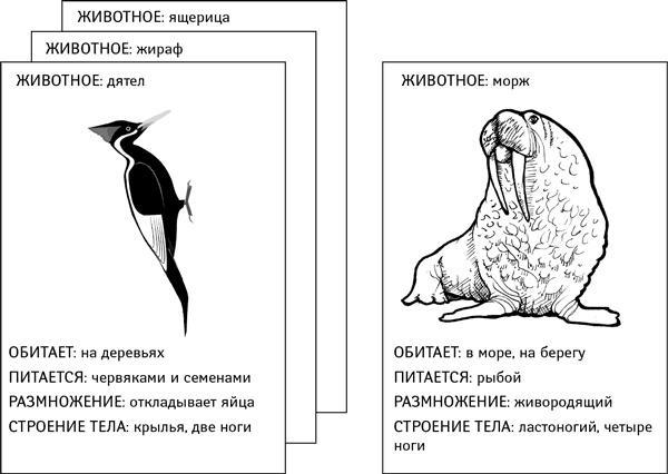 Объясняя религию. Природа религиозного мышления