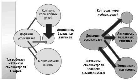 Вы просто не умеете худеть!