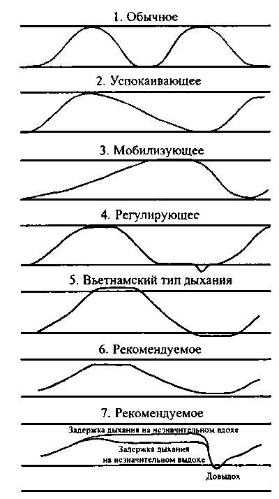 Баня. Лечебный эффект. Мифы и реальность