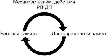 Включите свою рабочую память на полную мощь