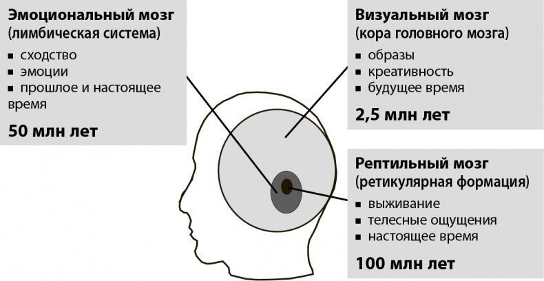 Мастерство жизни. Внутренняя динамика развития