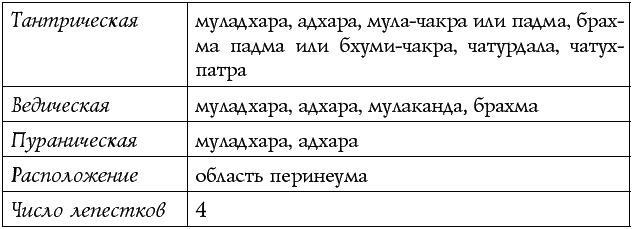 Чакры – энергии жизненных сфер. Работа с внутренним космосом