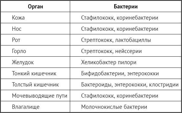 Жизнь кишечника. Борьба за бактерии