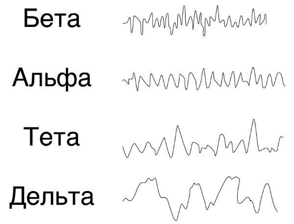 Тайны бессмертия