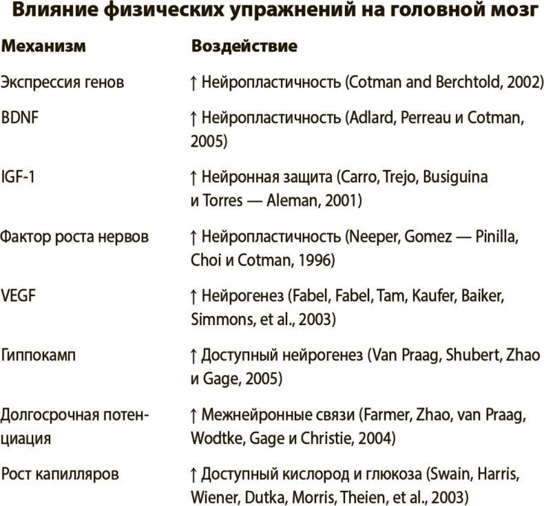 Укрощение амигдалы и другие инструменты тренировки мозга