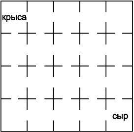 Как развить суперпамять, интеллект и внимание