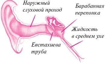 Ваш малыш от рождения до двух лет