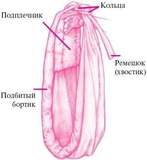 Ваш малыш от рождения до двух лет