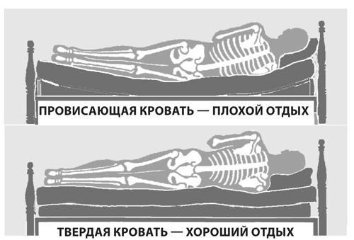 Здоровая нервная система