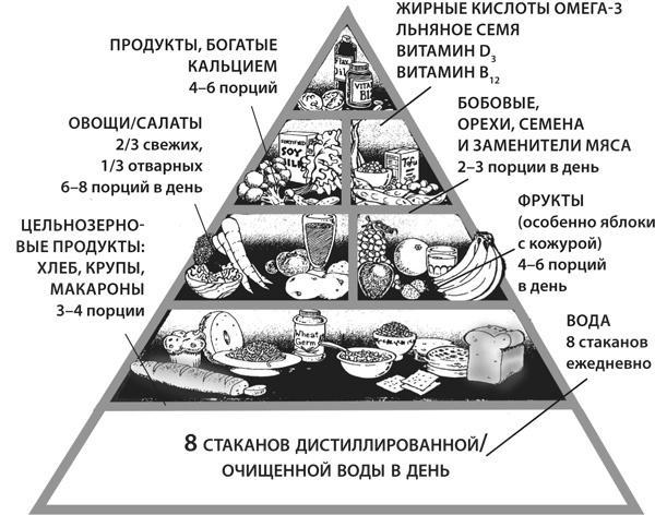 Здоровая нервная система