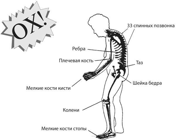 Здоровая нервная система