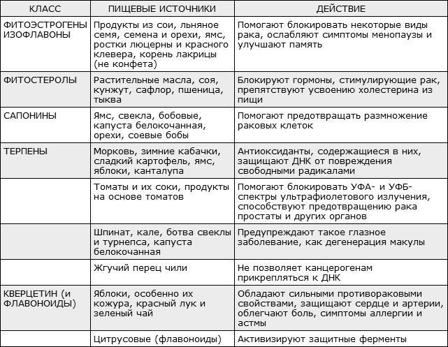 Здоровая нервная система