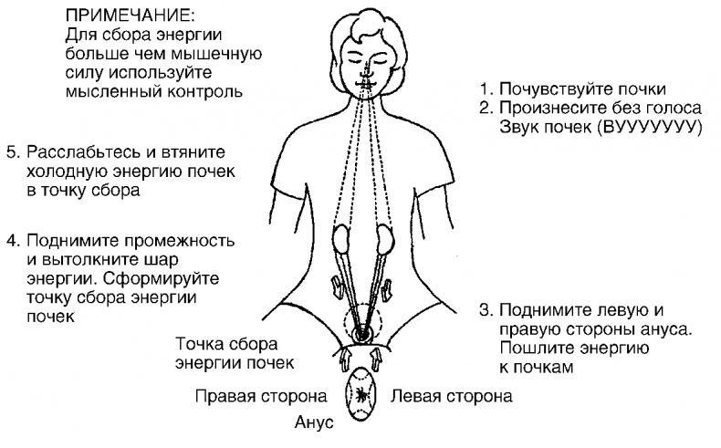 Мысль творит реальность: вам подвластно ВСЁ