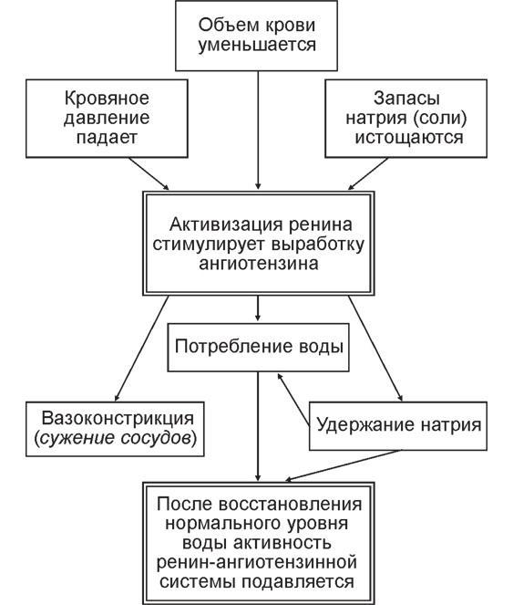 Вода для здоровья