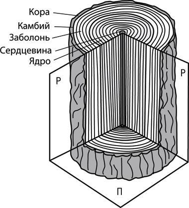 Учебник по выживанию в экстремальных ситуациях