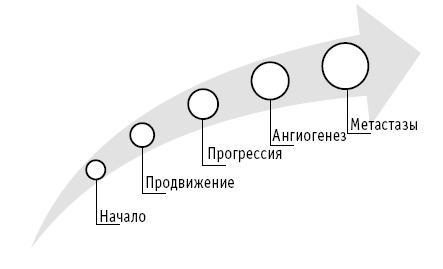 Мои рецепты от рака. Опыт врача, победившего онкологию