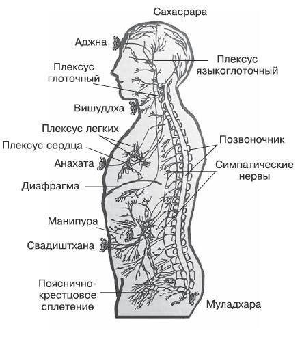 Бросай пить! САМОкодирование по системе СОС