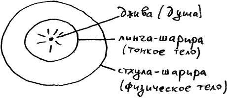 Законы судьбы, или Три шага к успеху и счастью