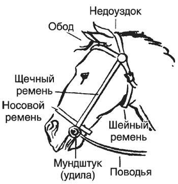 Рыцарь и его замок. Средневековые крепости и осадные сооружения