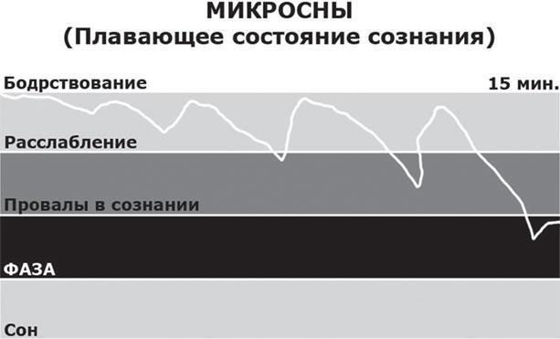 Фаза. Взламывая иллюзию реальности