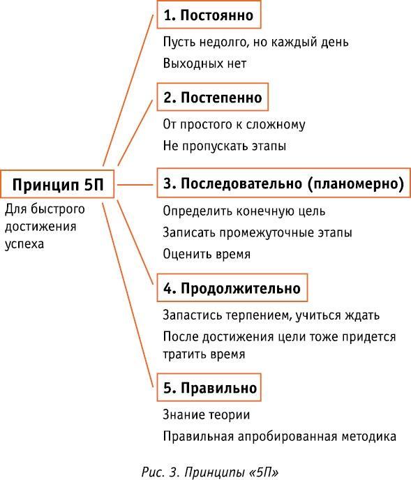 Код Феникса. Как изменить свою жизнь за 3 месяца