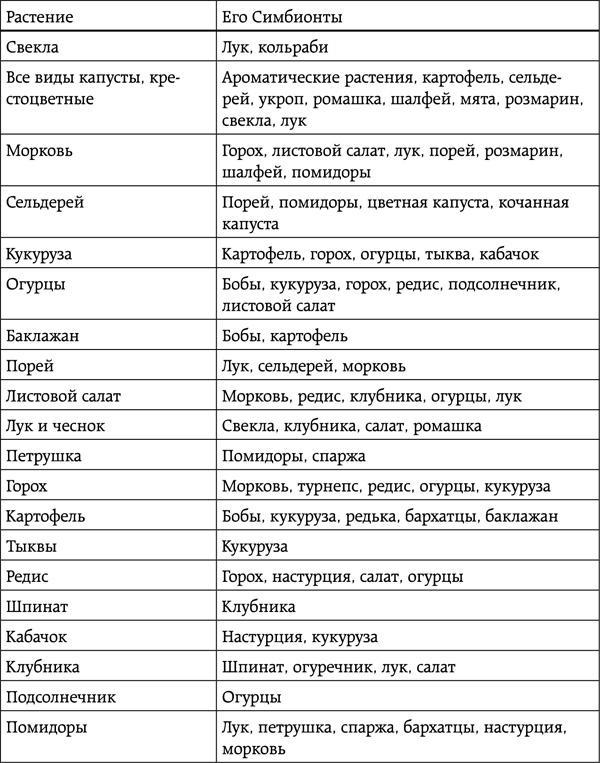 Энциклопедия умного сыроедения. Здоровое питание XXI века