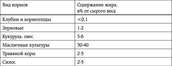 Энциклопедия умного сыроедения. Здоровое питание XXI века