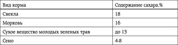 Энциклопедия умного сыроедения. Здоровое питание XXI века