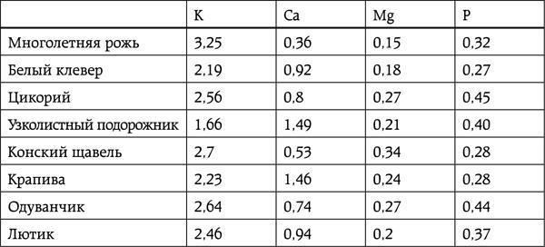 Энциклопедия умного сыроедения. Здоровое питание XXI века