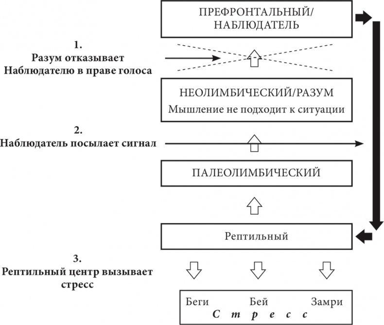 Бизнес и Трансерфинг. Нейро-квантовый метод успеха