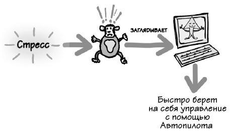 Парадокс Шимпанзе. Менеджмент мозга