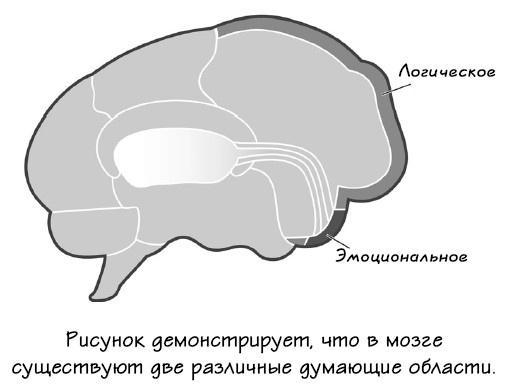 Парадокс Шимпанзе. Менеджмент мозга