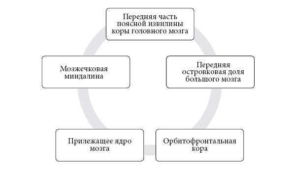 Музыка мозга. Правила гармоничного развития