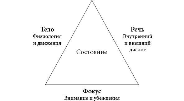 Музыка мозга. Правила гармоничного развития