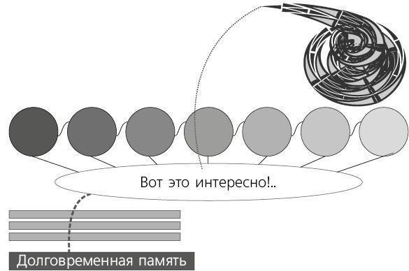 Помнить все. Практическое руководство по развитию памяти