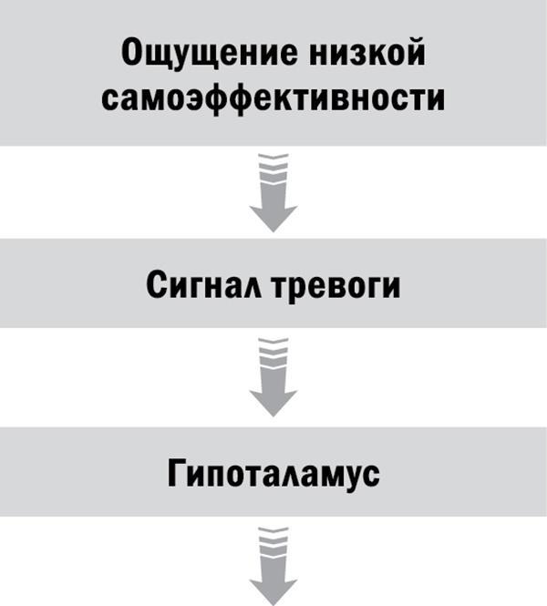 Управляй возрастом. Живи дольше, зарабатывай больше