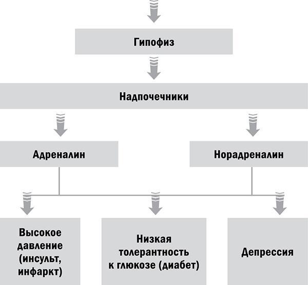 Управляй возрастом. Живи дольше, зарабатывай больше