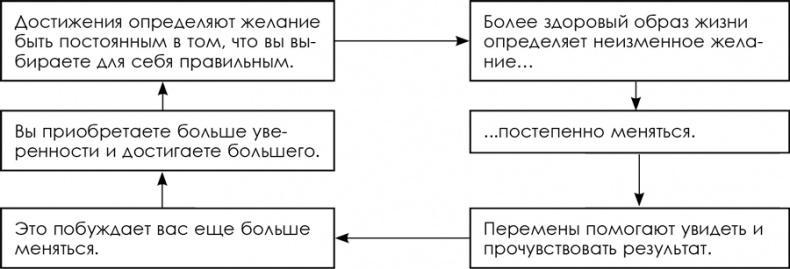 Зона тренировок. Стань сильнее, быстрее и умнее