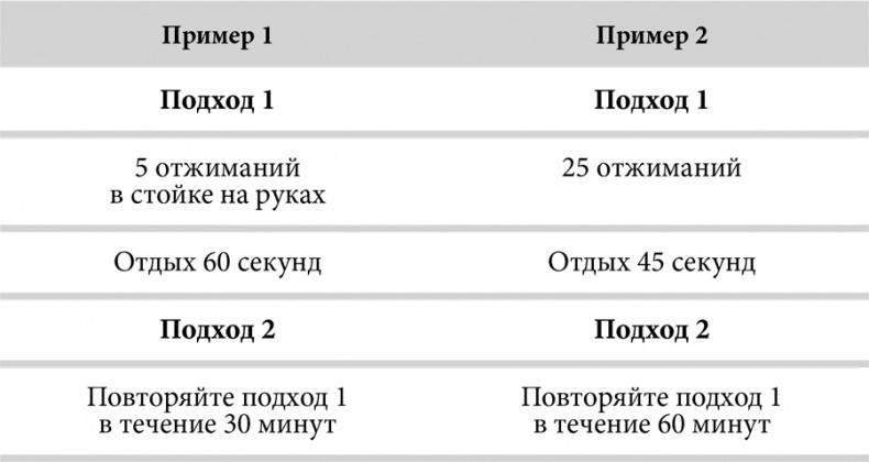 Зона тренировок. Стань сильнее, быстрее и умнее