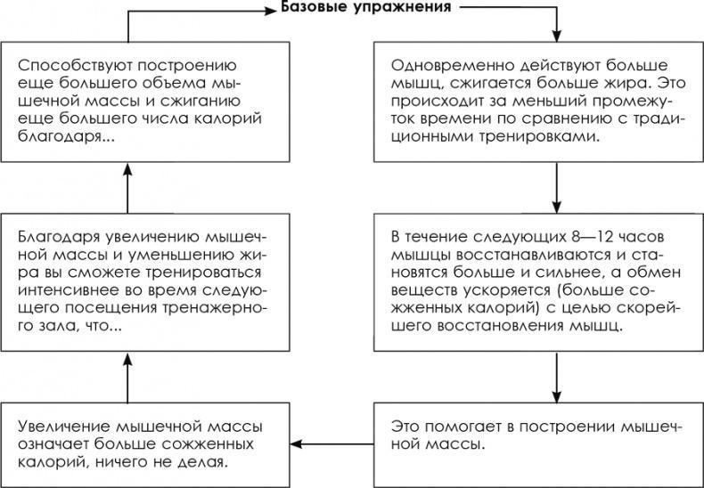 Зона тренировок. Стань сильнее, быстрее и умнее