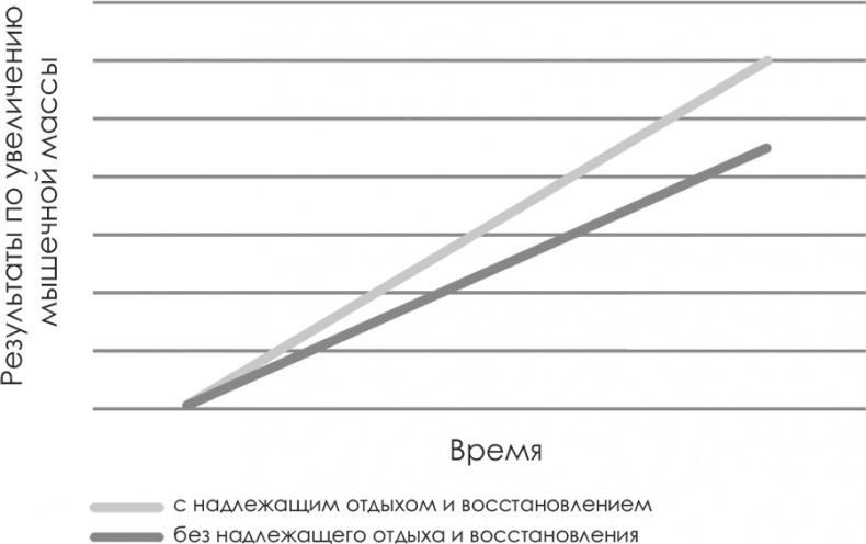 Зона тренировок. Стань сильнее, быстрее и умнее