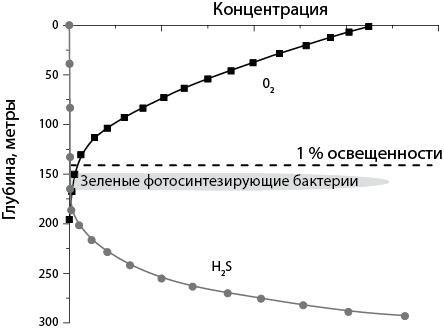 Двигатели жизни. Как бактерии сделали наш мир обитаемым